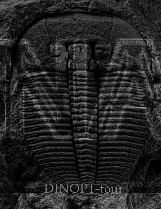 Bild zu JENNYFAIR 2011 GRAND OPENING NIGHT