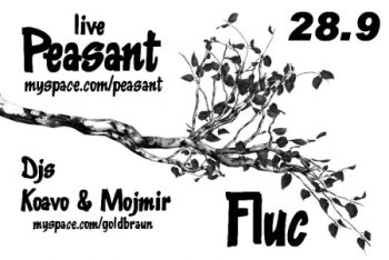 Bild zu PEASANT (USA)