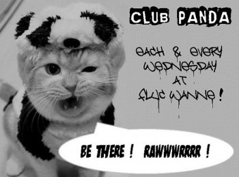 Bild zu CLUB PANDA - - Free Donation Party