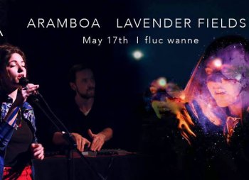 Bild zu Lavender Fields / Aramboa